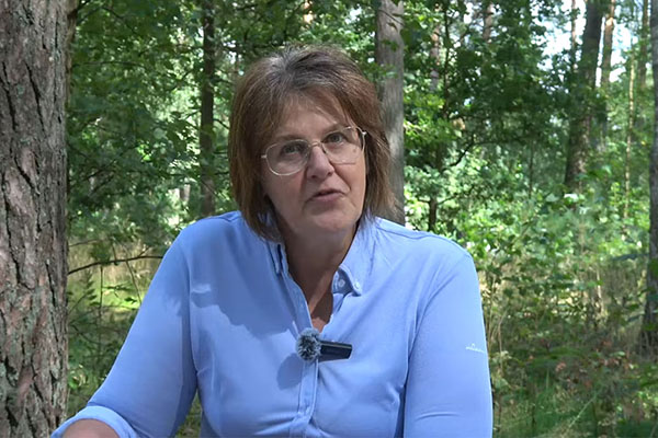 Företagsfilm, CJ Consulting