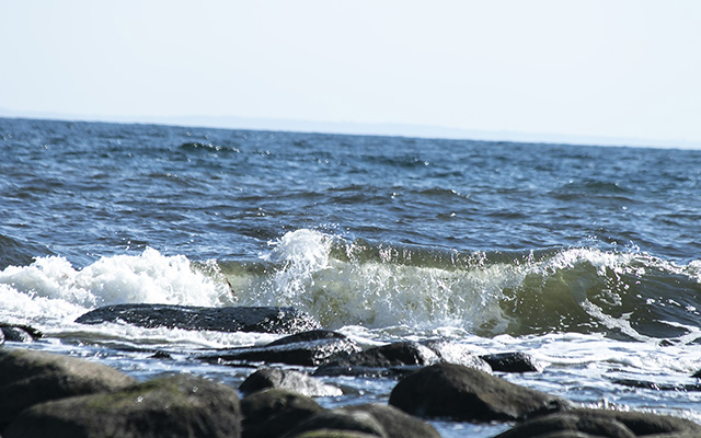 Gislövshammar