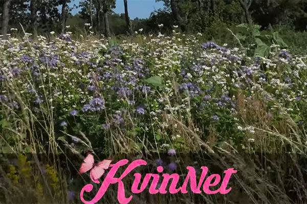 Reklam Kvinnet 