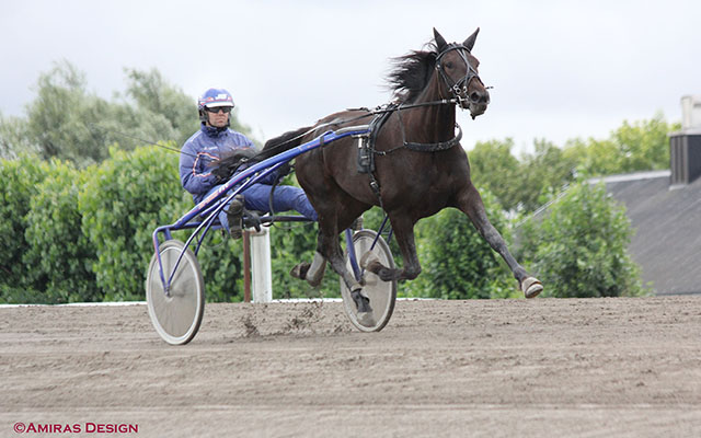 Jägersro Trav